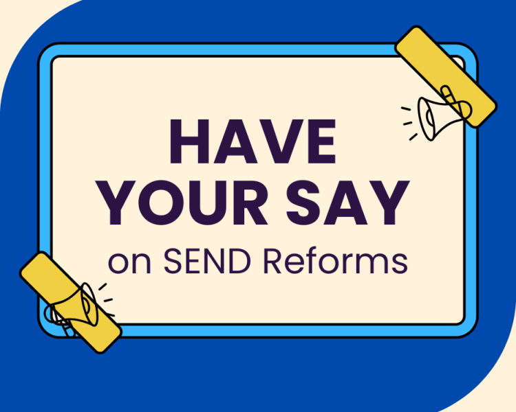 Have your say on the SEND reforms